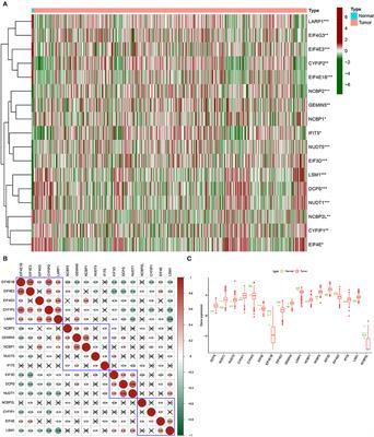 Expression and Potential Biomarkers of Regulators for M7G RNA Modification in Gliomas